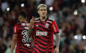 Pedro Flamengo