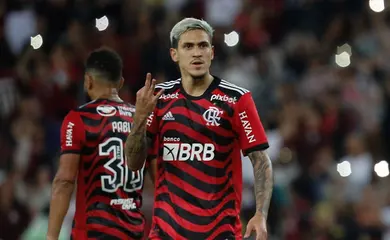 Pedro Flamengo